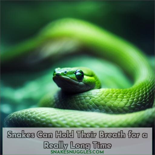 Snakes Can Hold Their Breath for a Really Long Time