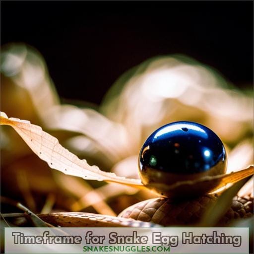 Timeframe for Snake Egg Hatching