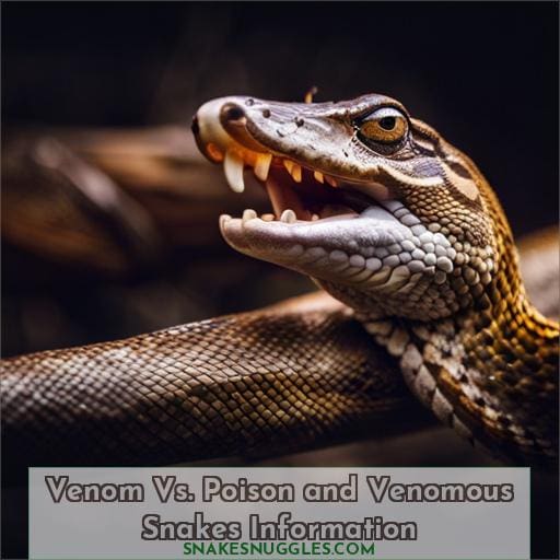 Venom Vs. Poison and Venomous Snakes Information