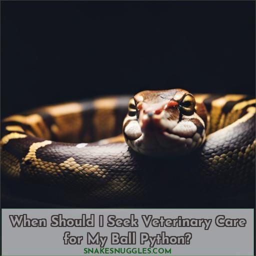 When Should I Seek Veterinary Care for My Ball Python
