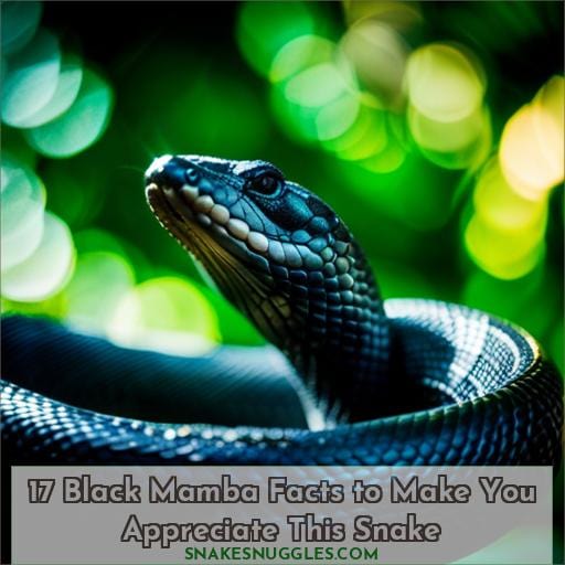 17 interesting facts about black mamba snakes
