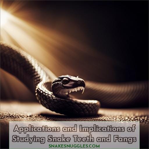 Applications and Implications of Studying Snake Teeth and Fangs