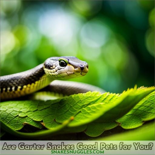 Are Garter Snakes Good Pets for You