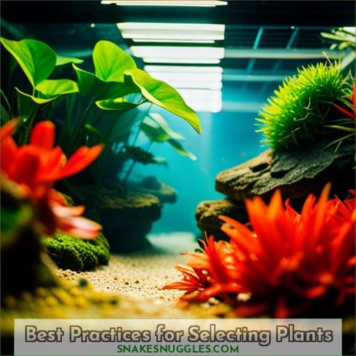 Best Practices for Selecting Plants