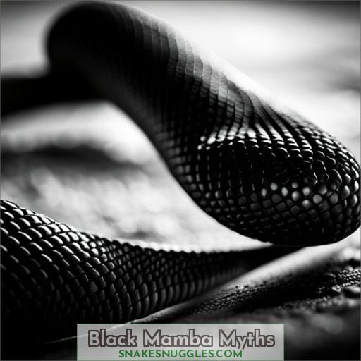 Black Mamba Myths