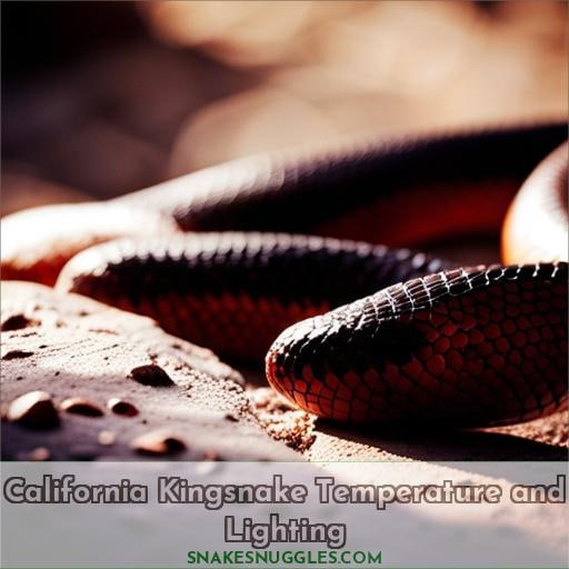 California Kingsnake Temperature and Lighting