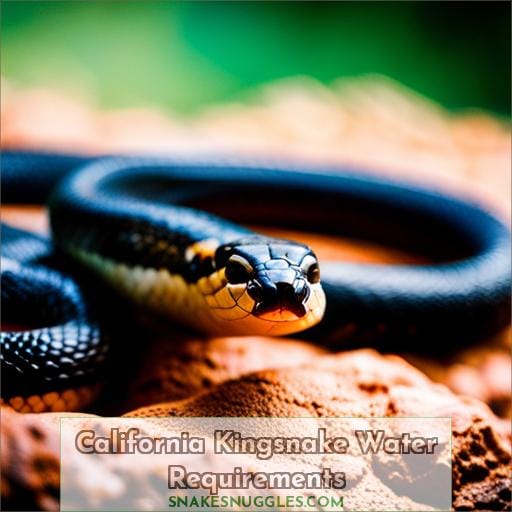 California Kingsnake Water Requirements