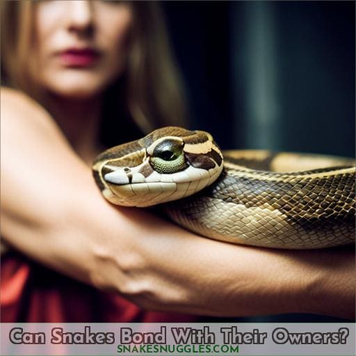 Can Snakes Bond With Their Owners