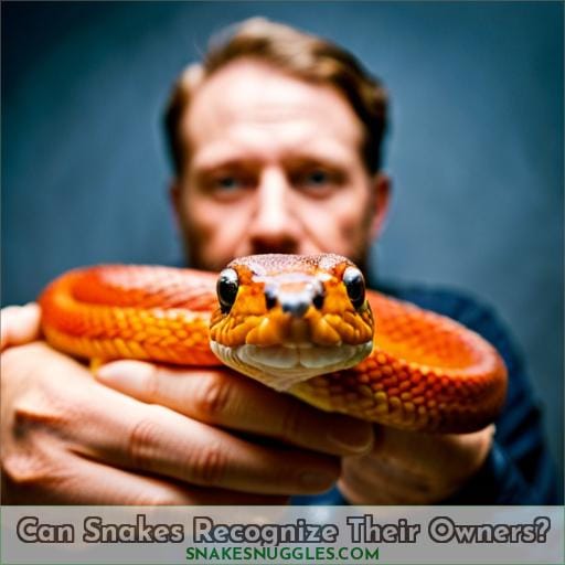 Can Snakes Recognize Their Owners