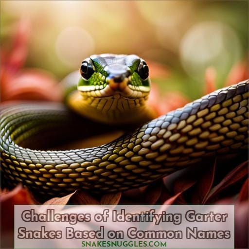 Challenges of Identifying Garter Snakes Based on Common Names