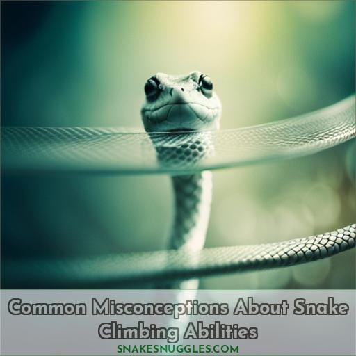 Common Misconceptions About Snake Climbing Abilities