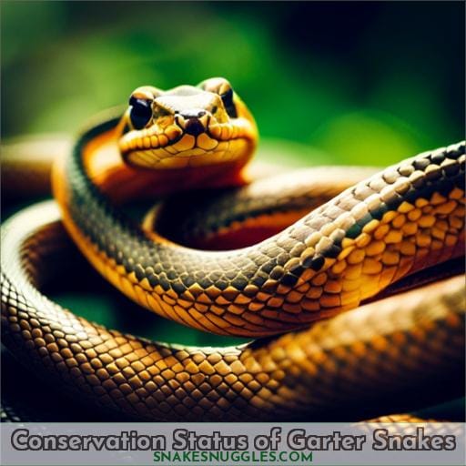 Conservation Status of Garter Snakes