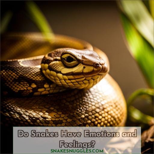 Do Snakes Have Emotions and Feelings