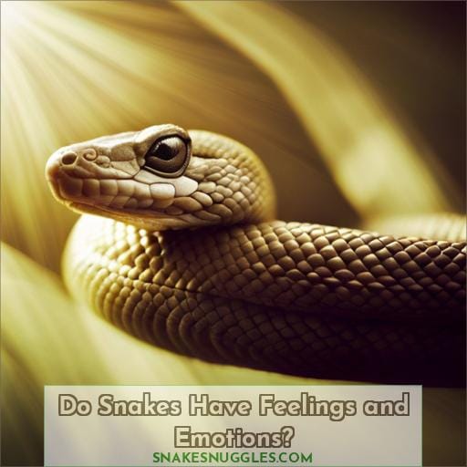 Do Snakes Have Feelings and Emotions