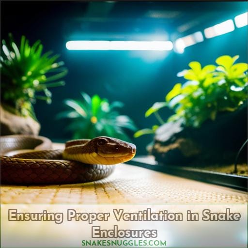 Ensuring Proper Ventilation in Snake Enclosures