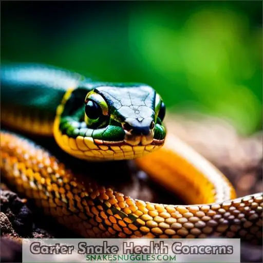 Garter Snake Health Concerns