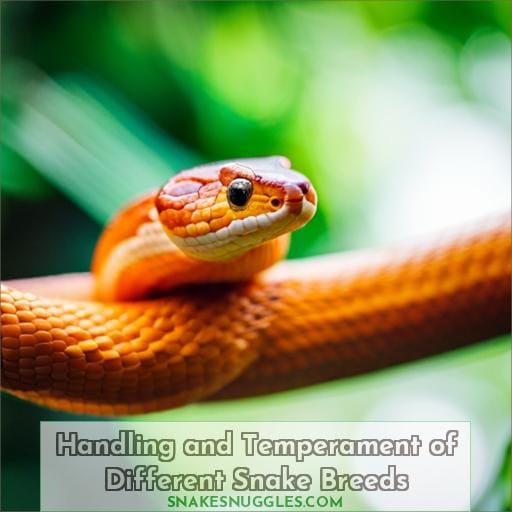 Handling and Temperament of Different Snake Breeds