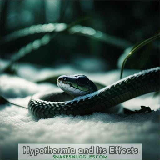 Hypothermia and Its Effects