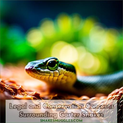 Legal and Conservation Concerns Surrounding Garter Snakes