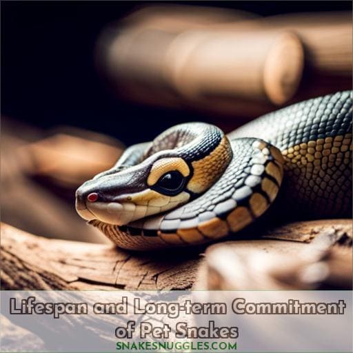 Lifespan and Long-term Commitment of Pet Snakes