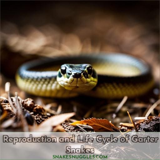 Reproduction and Life Cycle of Garter Snakes