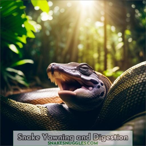 Snake Yawning and Digestion