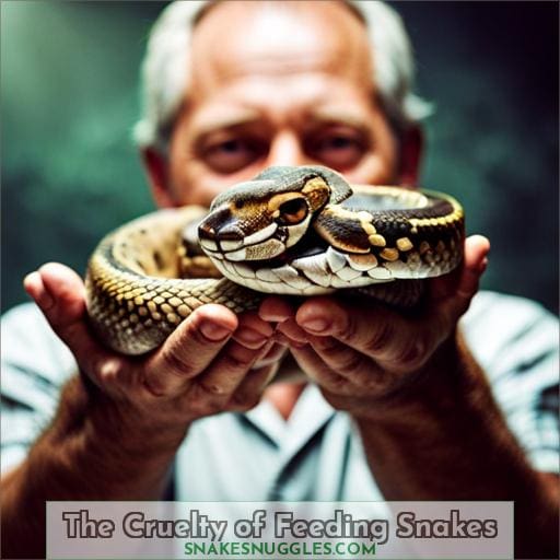 The Cruelty of Feeding Snakes