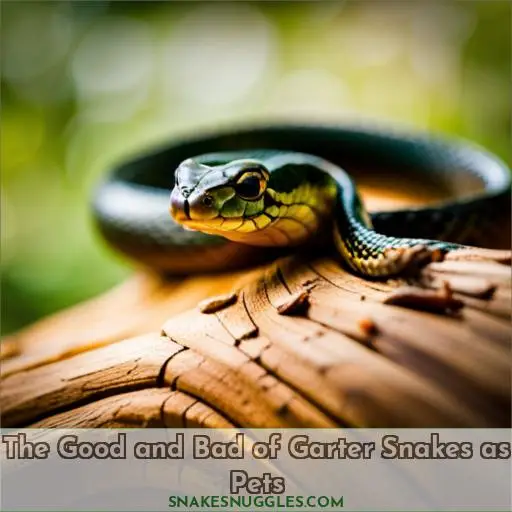 The Good and Bad of Garter Snakes as Pets