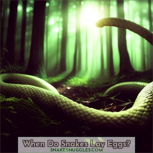When Do Snakes Lay Eggs