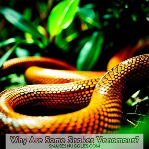 Why Are Some Snakes Venomous