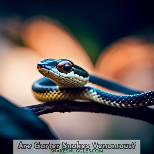 Are Garter Snakes Venomous