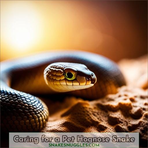 Caring for a Pet Hognose Snake