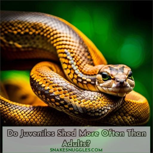 Do Juveniles Shed More Often Than Adults
