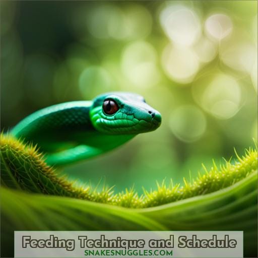 Feeding Technique and Schedule