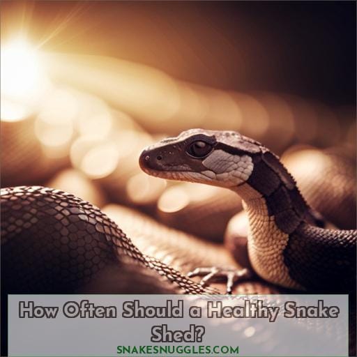 How Often Should a Healthy Snake Shed
