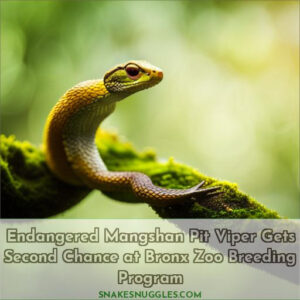 mangshan pit viper species profile and photos