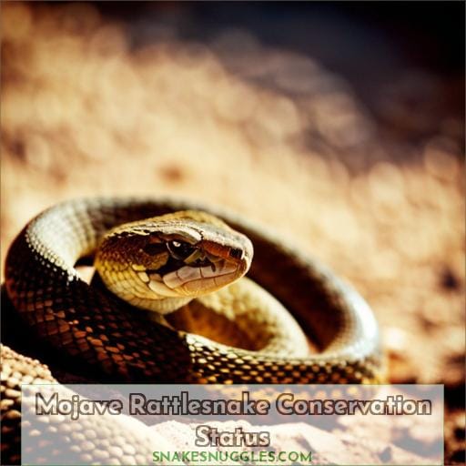 Mojave Rattlesnake Conservation Status