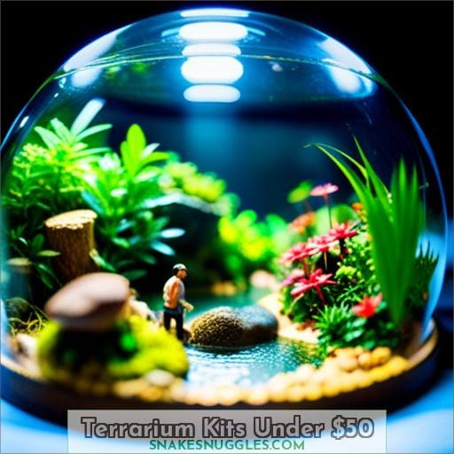 Terrarium Kits Under 