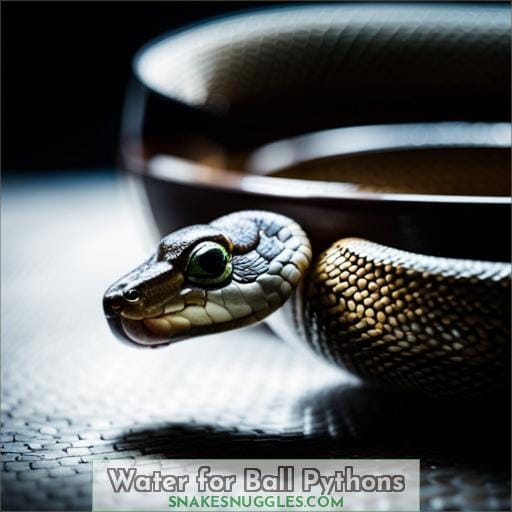 Water for Ball Pythons
