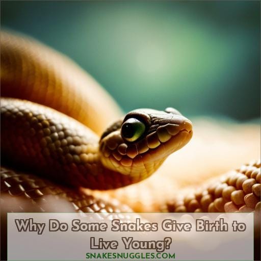 Why Do Some Snakes Give Birth to Live Young
