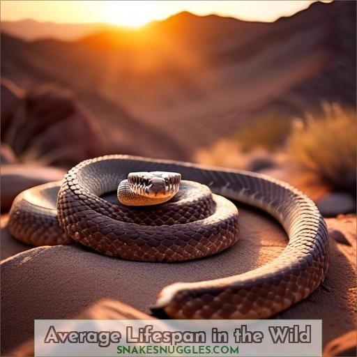 Average Lifespan in the Wild