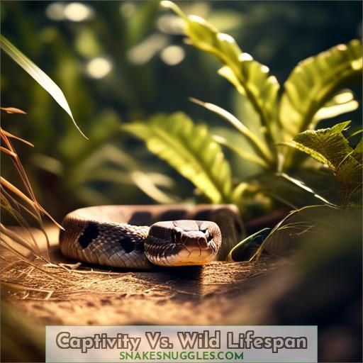Captivity Vs. Wild Lifespan