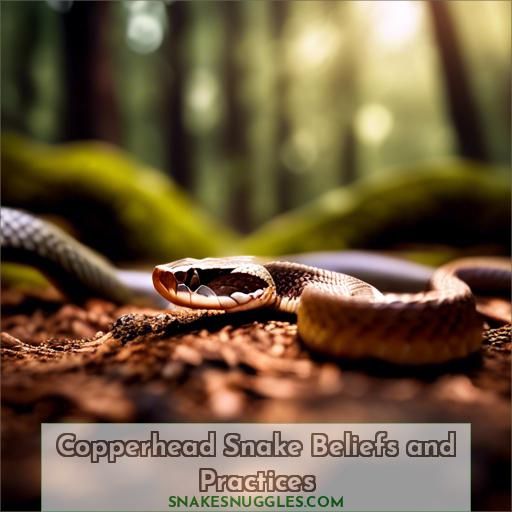 Copperhead Snake Beliefs and Practices