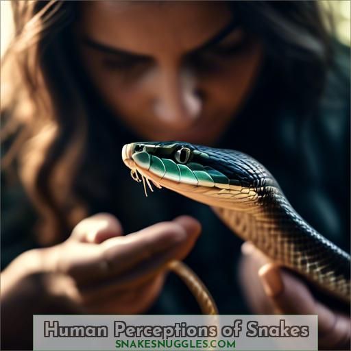 Human Perceptions of Snakes