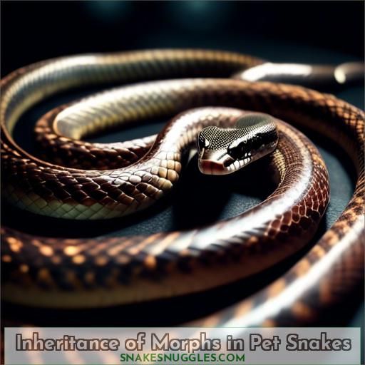 Inheritance of Morphs in Pet Snakes