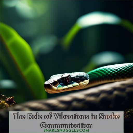 The Role of Vibrations in Snake Communication