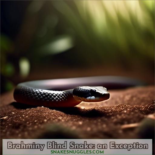 Brahminy Blind Snake: an Exception