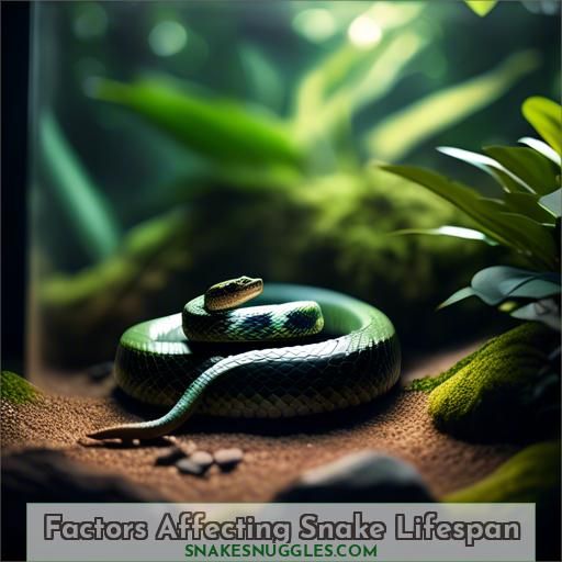 Factors Affecting Snake Lifespan