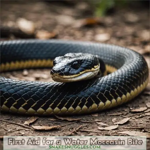 First Aid for a Water Moccasin Bite