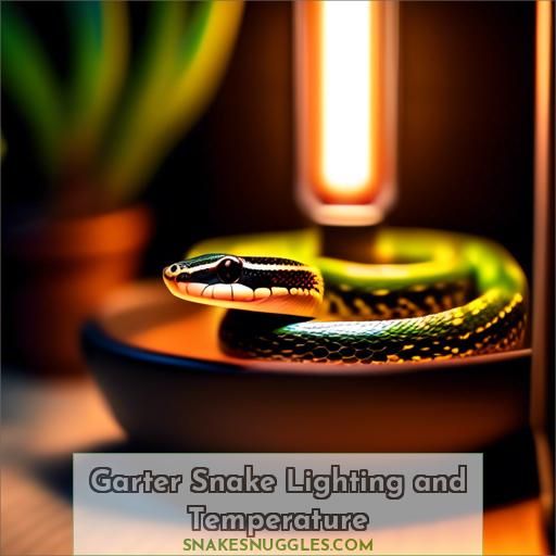Garter Snake Lighting and Temperature